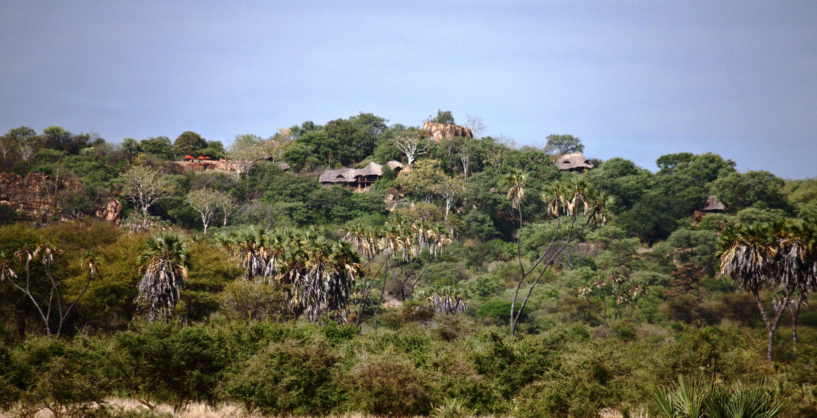 Safariunternehmen in Diani Beach 1389