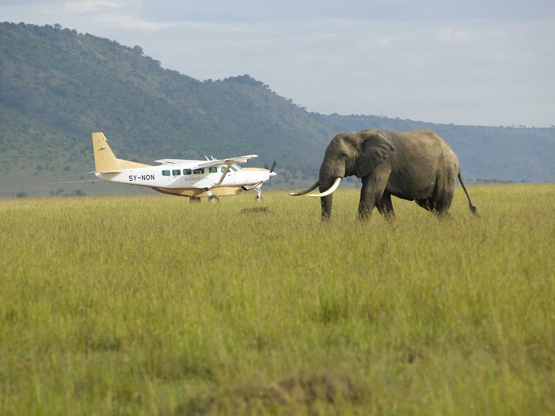 Safari in Kenia, Reiseveranstalter