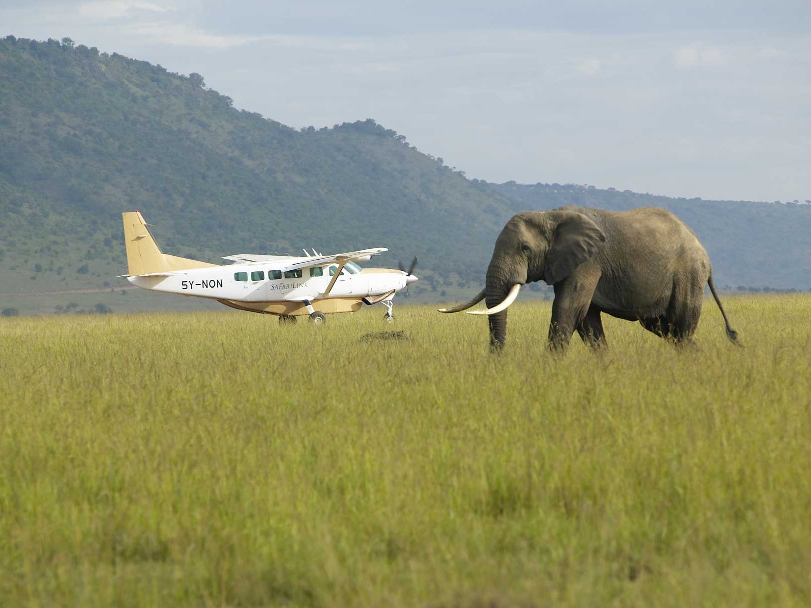 Flug-Safari Kenia
